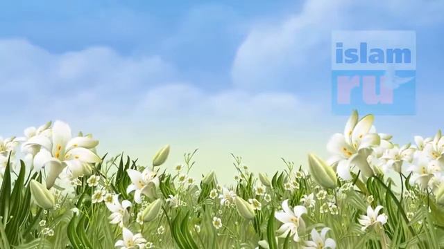 Эти слова наиболее любимы Богом смотреть онлайн