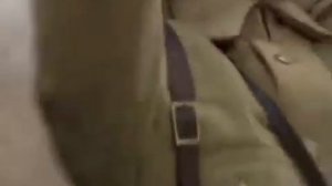 ЛЮБЭ-БАТЬКА МАХНО