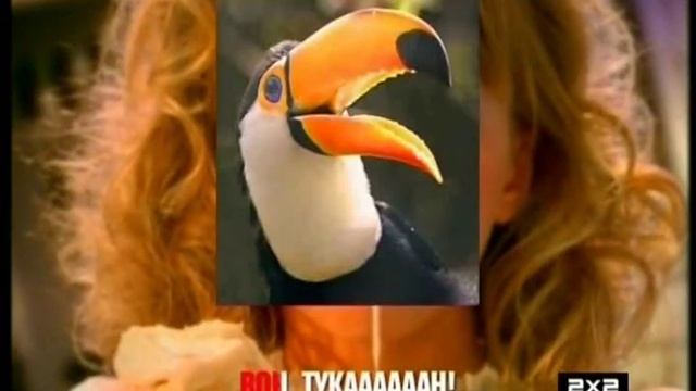 Soundgarden - Плакал сам, вон, тукан!