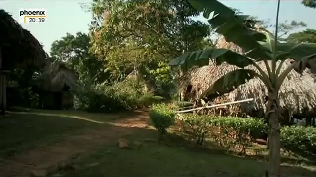 Riesen des Regenwaldes Der Panamakanal im Umbruch Doku über den Regenwald Teil 1 смотреть онлайн