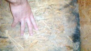 УЛЕЙ из OSB для ПЧЁЛ Бюджетный улей из ОСБ для пчел Улей для отводко