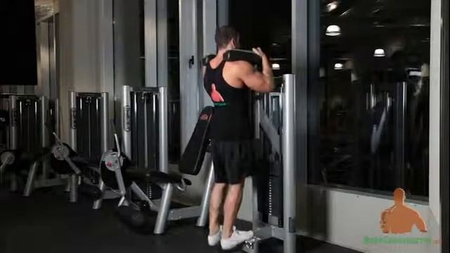 Lazar Angelov Гак стоя на тренажере смотреть онлайн
