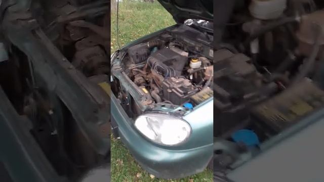 ЗАЗ СЕНС ОТЗЫВ ВЛАДЕЛЬЦА 8 ЛЕТ 220 000 ПРОБЕГА смотреть онлайн