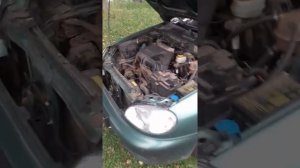 ЗАЗ СЕНС ОТЗЫВ ВЛАДЕЛЬЦА 8 ЛЕТ 220 000 ПРОБЕГА