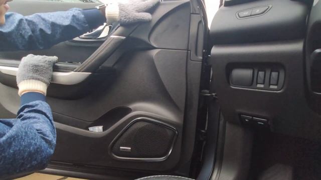 Самостоятельная химчистка. Уход за пластиком Каджар \ KADJAR смотреть онлайн