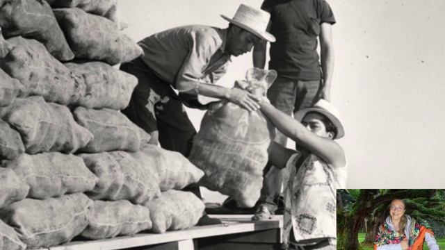 ЯДОВИТЫЙ КАРТОФЕЛЬ № 126 смотреть онлайн