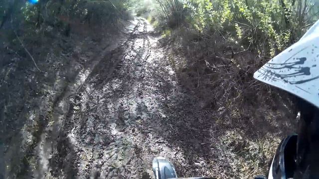 Покатушка №21. Грязная серия.TTR125,TTR250R смотреть онлайн