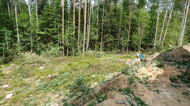 Вырубка леса Порошкино смотреть онлайн