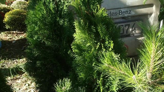Ярмарка Farmer на Moldexpo в Кишиневе, 16 октября 2022 смотреть онлайн