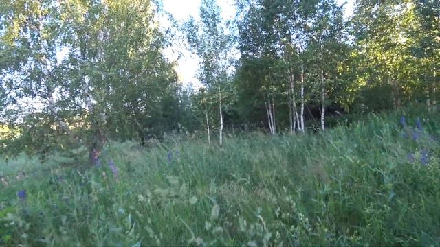 Чистые пруды в Бисерти смотреть онлайн