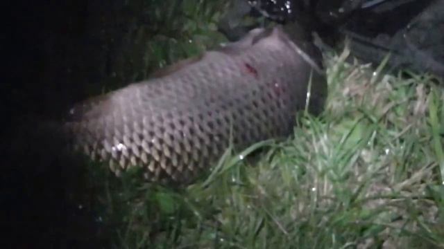 Fishing Генезис 8 -12 августа 2016г смотреть онлайн