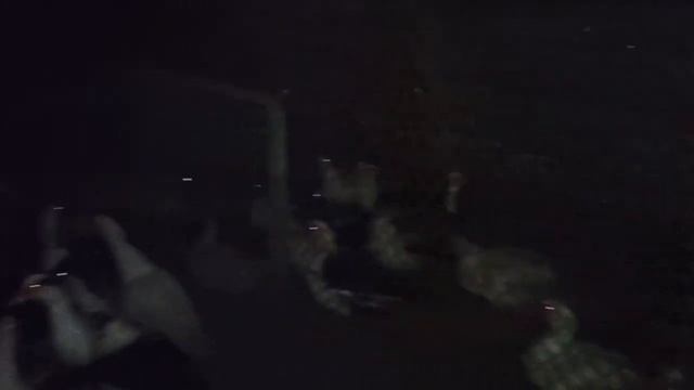 САМЫЕ УМНЫЕ УТКИ И САМЫЕ ГЛУПЫЕ КУРЫ В МОЁМ ДВОРЕ! смотреть онлайн