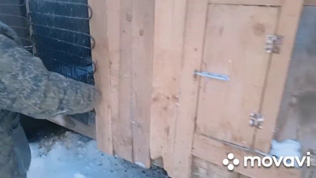 Еду в гости к кроликам через снежную сказку соснового леса. смотреть онлайн