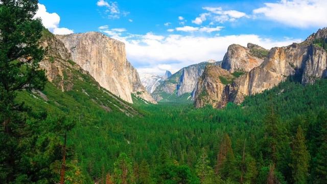 Sing To Jesus | Fernando Ortega Lyrics | Piano Cover смотреть онлайн