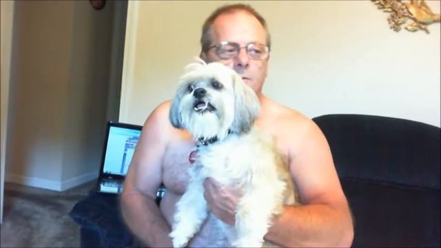 Brutus the Beast.wmv смотреть онлайн