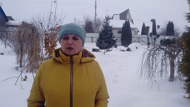 Когда весной надо начинать обрезку плодовых деревьев и кустарников? смотреть онлайн