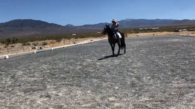 Beginner Rider on cabby смотреть онлайн