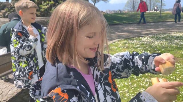 SuperLaiki ep.6 Гигантские чайки атакуют! смотреть онлайн