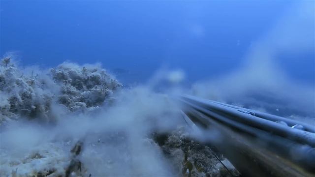 Deep Spearfishing Encyclopedia, Part 6: Health and Training смотреть онлайн