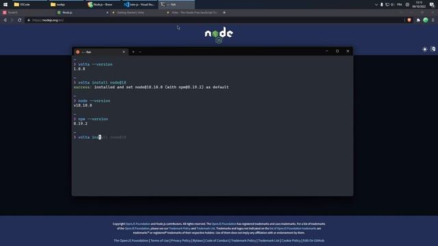 JavaScript côté serveur : Installer NodeJS avec Volta смотреть онлайн