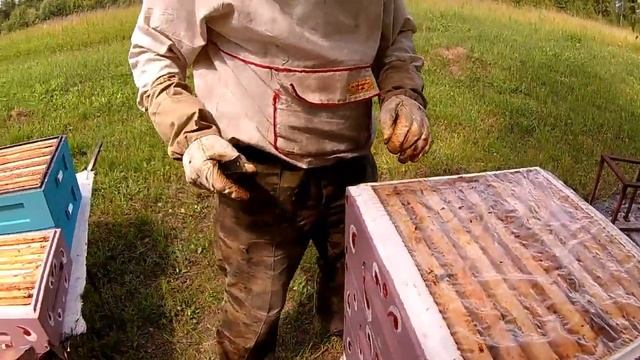 Пасека - надеваем магазины, боремся с муравьями смотреть онлайн