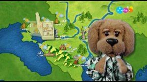 Погода (Карусель, 21.08.23)