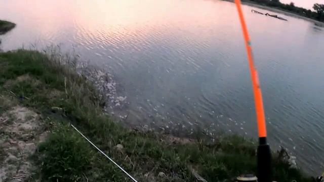 ЛОВЛЯ САЗАНА И СОМА С НОЧЁВКОЙ #рыбалка #sirdaryo Baliq Ovi #рыбалка в узбекистане 2021 #речная рыб