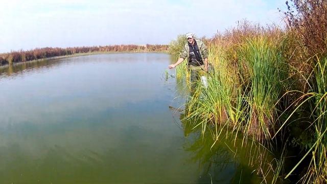 Самый лёгкий способ ловли карася / где искать карася осенью? смотреть онлайн