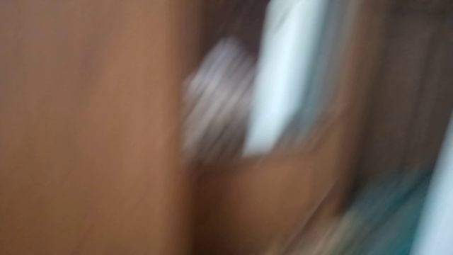 VID_20230111_131118.mp4