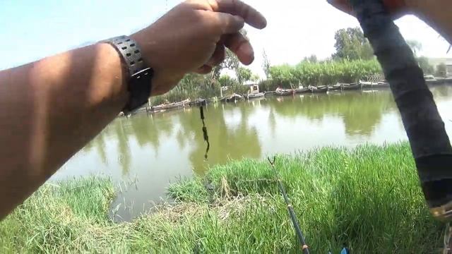 Херабуна. Тест корейской удочки yong sung sense. смотреть онлайн