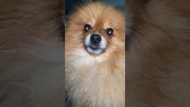 А где настроение. смотреть онлайн