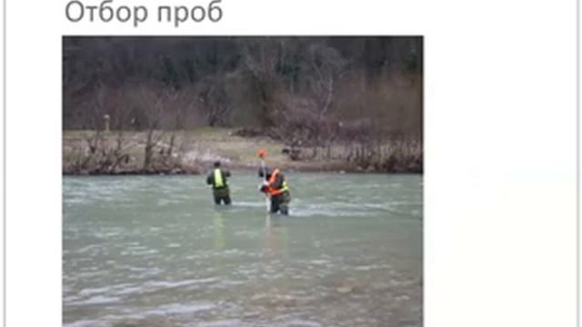 Полевые экологические исследования водных объектов смотреть онлайн