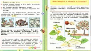 Что у нас под ногами? Окружающий мир. 1 класс, 1 часть. Учебник А. Плешаков стр. 20-21