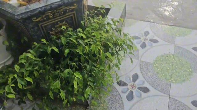 LÔ HÀNG BÃI NHẬT KHỦNG ĐẸP ĐỘC смотреть онлайн