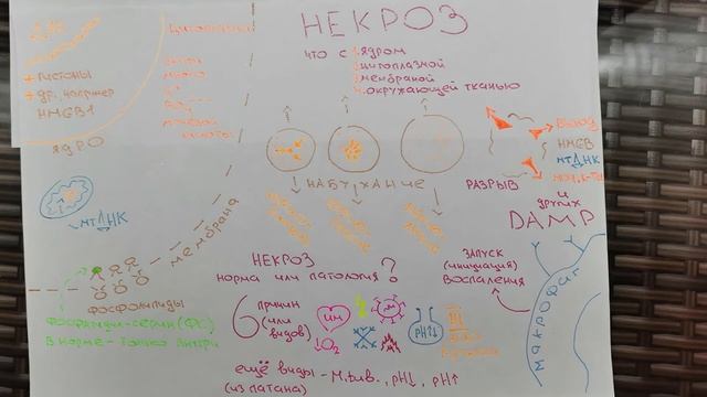 Некроз смотреть онлайн