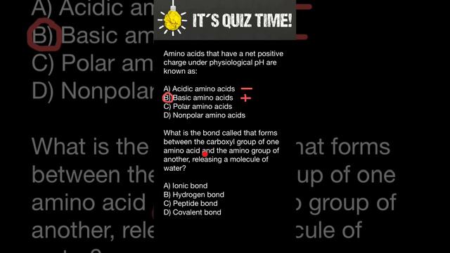 Properties of amino acids смотреть онлайн