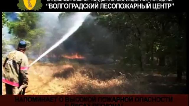 Социальный видеоролик Комитета лесного хозяйства Волгоградской области смотреть онлайн