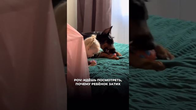 #memes #meme смотреть онлайн