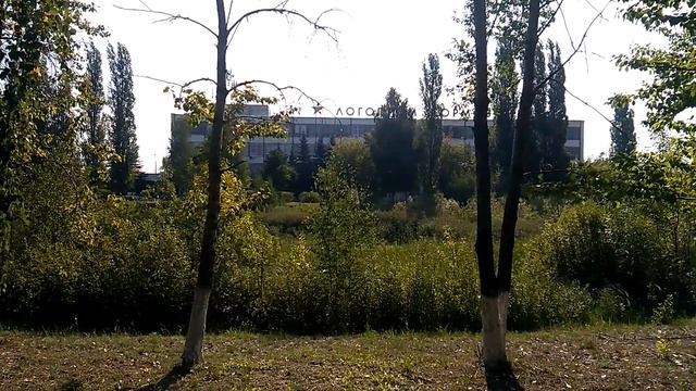 Тревога в Логопроме