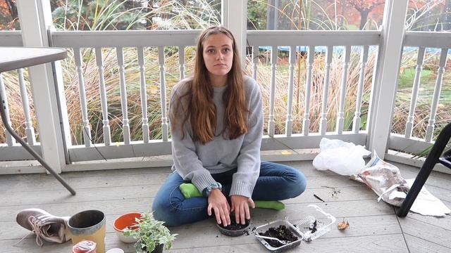 Plant with me | Growing Succulents + Repotting смотреть онлайн