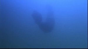 ПЕРЕСКАЗ _ДЕКСТЕР_ (1 СЕЗОН) ЗА 18 МИНУТ