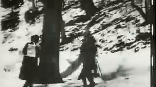 Terrible Teddy The Grizzly King (Edwin S. Porter, 1901)