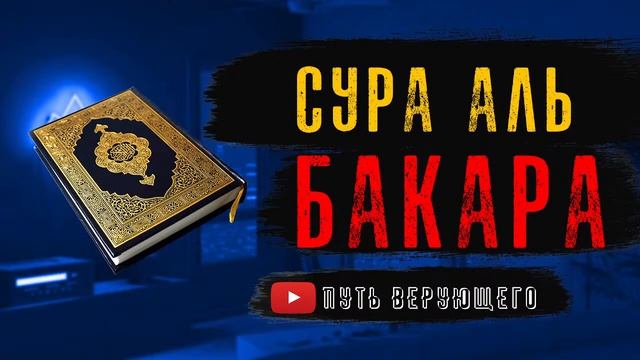 сура Аль-Бакара| Очень красивое чтение Корана? | Коран на ночь и перед сном | coran for sleep смотреть онлайн