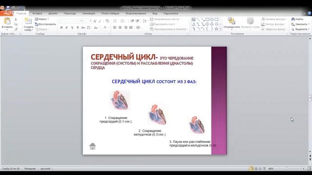 ЕГЭ по биологии 11 класс Занятие 31 Кровеносная система человека смотреть онлайн