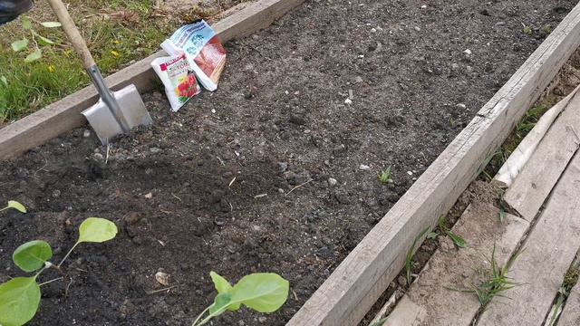 Наверно уже пора это сделать. Сколько можно ждать 🤔