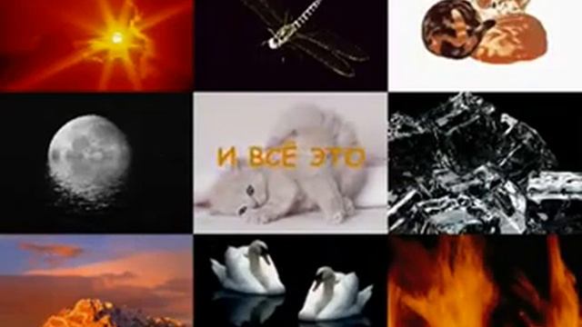 Из чего состоит женщина ? смотреть онлайн