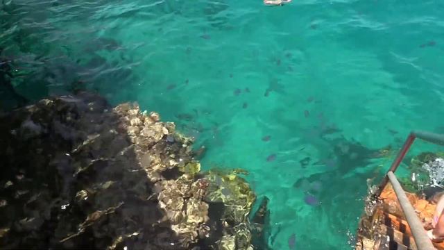 Egypt. Marsa Alam. Brayka Bay. Red Sea. КОРАЛЛОВЫЕ РИФЫ ВДОЛЬ ПЛЯЖНОЙ ЗОНЫ смотреть онлайн