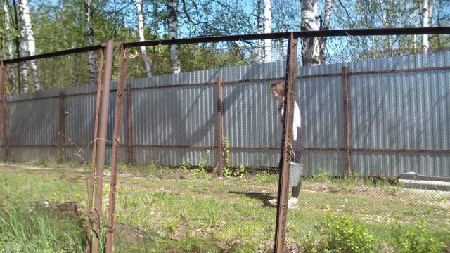 Пишем утром список дел в саду! И все выполняем! 11 мая 2020 года. смотреть онлайн