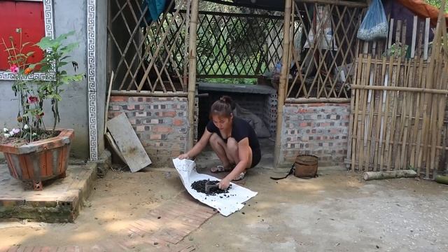 Building farm. BUILD LOG CABIN for FARM LIFE. Farming and Ranching In The Farm | Junni смотреть онлайн