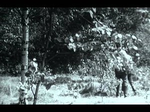 Синяя тетрадь 1963